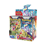 Frontansicht eines Booster Display der Pokémon TCG Erweiterung Scarlet & Violet Base