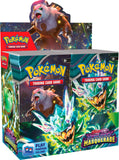 Frontansicht eines Booster Display der Pokémon TCG Erweiterung Twilight Masquerade